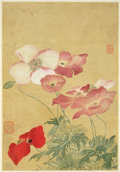 Bild aus dem Album der Blumenmalereien (Aquarell) von Shouping Yun