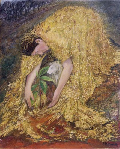 Der Gärtner von Silvia Pastore