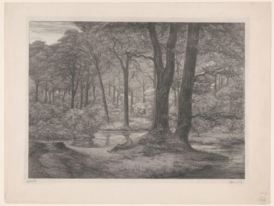 Wald mit Teich und liegendem Mann von Simon Moulijn (signed by artist)