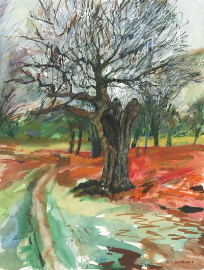 Alter Baum, Richmond Park, 2019 von Simon Neville