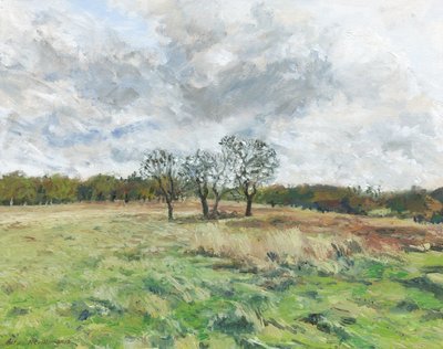 Richmond Park von Simon Neville