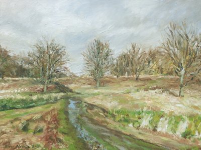 Richmond Park von Simon Neville