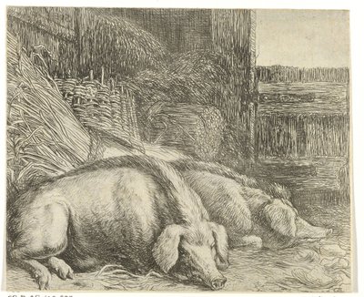 Zwei Schweine von Simon de Vlieger