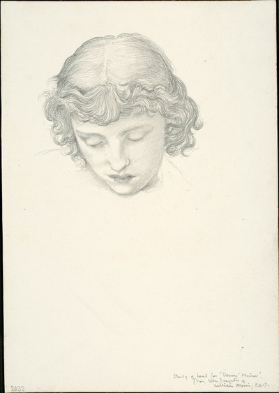 Studie für Spiegel der Venus: Kopf von Sir Edward Burne Jones
