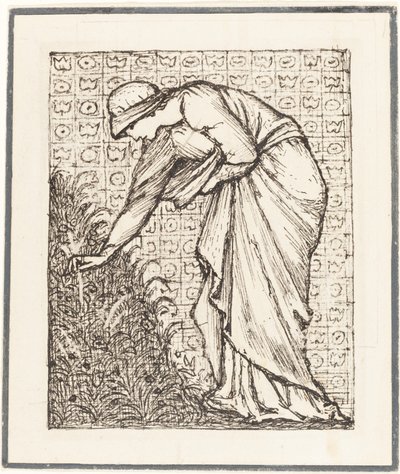 Dame pflückt Blumen von Sir Edward Coley Burne Jones