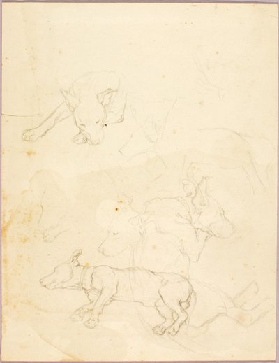 Hunde von Solon H. Borglum