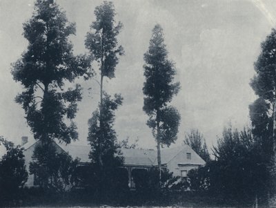 Eine niederländische Farm, in der Nähe der New Croesus Gold Mining Company von South African Photographer