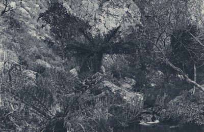 Im Witpoortje Kloof von South African Photographer