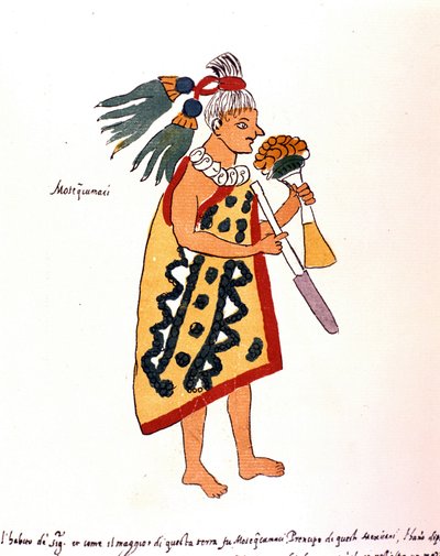 Aztekischer Priester im Codex Vaticanus 3738 (Codex Vat. Rios). Faksimile des Manuskripts von Dominikaner Pedro de los Rios, zwischen 1570 und 1589, Bibl. Vatikan von Spanish School