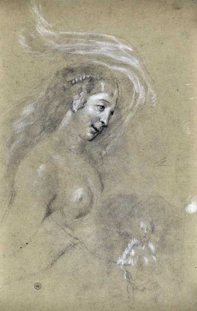 Studie eines Frauenprofils (Zeichnung) von Stanislas Torrents y de Amat