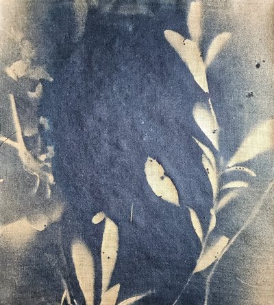 Indigo-Blatt-Impressionen von Stefano Mazzolini