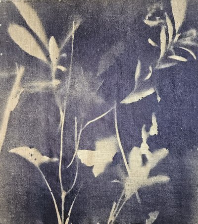 Vintage Botanische Blues von Stefano Mazzolini