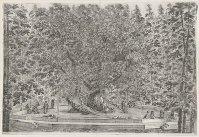 Der bewohnte Baum im Garten der Villa Pratolino von Stefano della Bella