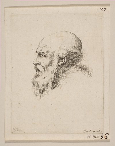 Kopf eines kahlen und bärtigen alten Mannes im Profil, aus Verschiedene Köpfe und Figuren Diverses..., 1650 von Stefano della Bella