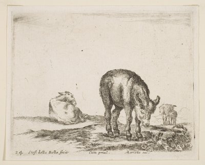 Tafel 24: Esel, aus Verschiedene Tiere, ca. 1641 von Stefano della Bella