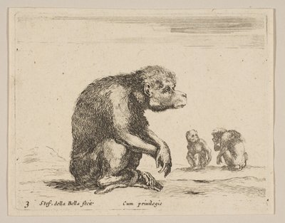 Tafel 3: sitzender Affe, aus Verschiedene Tiere Diversi animali, ca. 1641 von Stefano della Bella