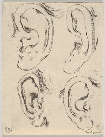 Platte 5: vier Ohren, aus Das Buch zum Zeichnen lernen Livre pour apprendre à dessiner..., ca. 1649 von Stefano della Bella