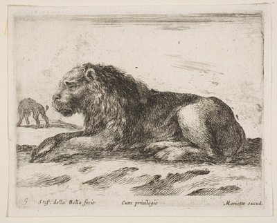 Tafel 5: liegender Löwe, aus Verschiedene Tiere Diversi animali, 1641 von Stefano della Bella