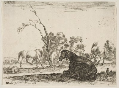 Tafel 8: ein sitzendes Pferd nach rechts, von hinten gesehen und nach links gedreht, drei andere Pferde..., 1642 von Stefano della Bella