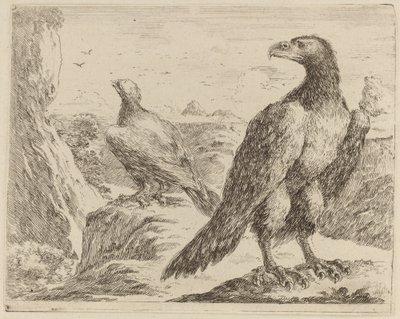 Zwei Adler, beide mit Köpfen nach links gedreht von Stefano della Bella
