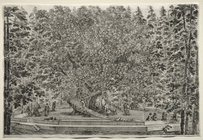 Ansichten der Villa von Pratolino: Der bewohnte Baum von Stefano della Bella