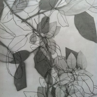 Botanisch, 2014 von Stephen Dow