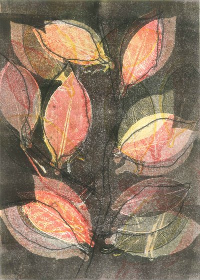Mitternachtsgarten V von Stephen Dow