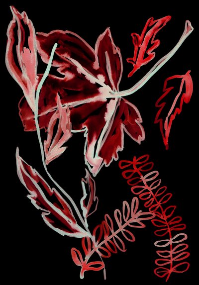 Nachtflora I, 2018 von Stephen Dow