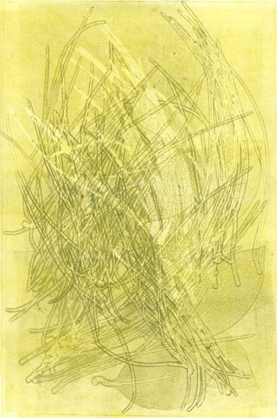 Sommergarten V, 2015 von Stephen Dow