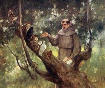 Der heilige Franziskus predigt den Vögeln von Stephen Reid