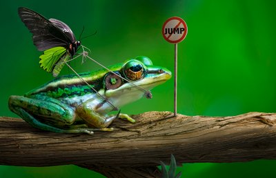Lustiges Froschsprungzeichen von Sulaiman Almawash