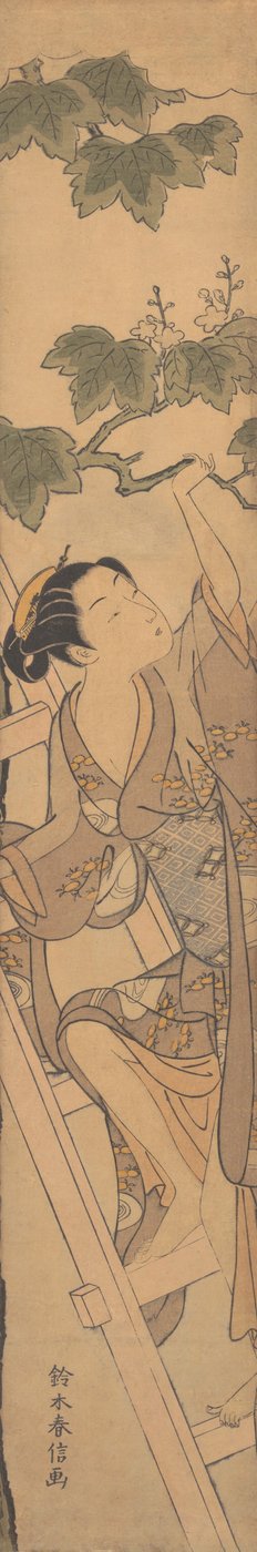 Junge Frau, die eine Leiter hinaufsteigt, ca. 1768 von Suzuki Harunobu