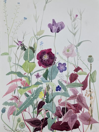 Gartenblumen, Juni, 2025 von Suzy Fasht