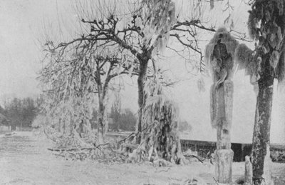 Aux Paquis in Genf, Winter 1896 von Swiss Photographer