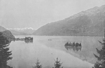 Iseltwald, Brienzersee von Swiss Photographer