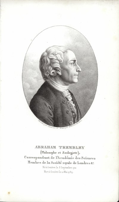 Abraham Trembley von Swiss School