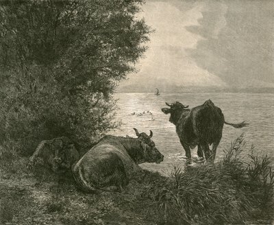 Früher Morgen am Zürichsee von Swiss School
