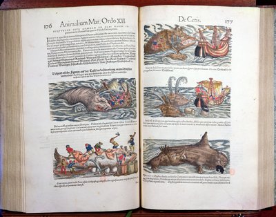 Zerteilen eines Wals und Walfang, aus Appendix historiae quadrupedum, viviparorum et oviparorum von Conrad Gesner (1516-65), 1554 von Swiss School