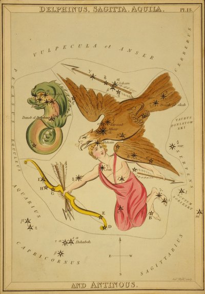 Delphinus, Sagitta, Aquila und Antinous, Illustration aus 