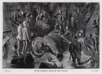 Elefant von König Edward VII. getötet von Sydney Prior (after) Hall