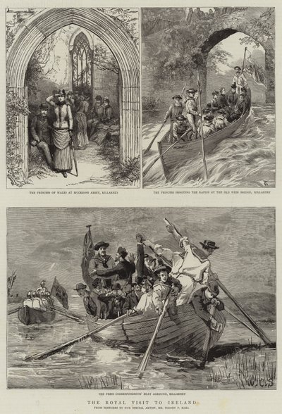 Der königliche Besuch in Irland von Sydney Prior Hall