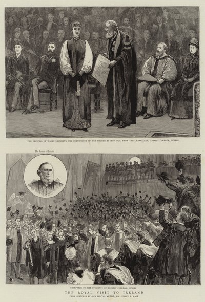Der königliche Besuch in Irland von Sydney Prior Hall