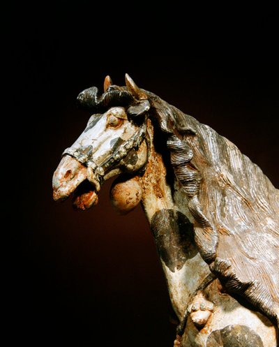 Detail eines Pferdes, spätes 7. - frühes 8. Jahrhundert von Tang Dynasty Chinese School