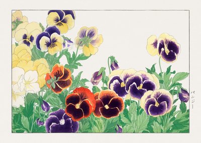 Vintage Stiefmütterchen aus "Seiyou Sokazufu" von Tanigami Konan