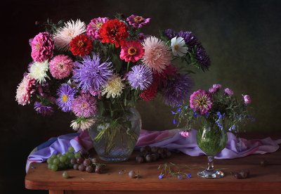 Lebendiges Asternstillleben von Tatyana Skorokhod