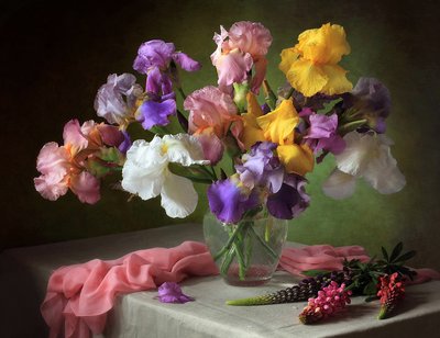 Lebhaftes Iris Bouquet von Tatyana Skorokhod