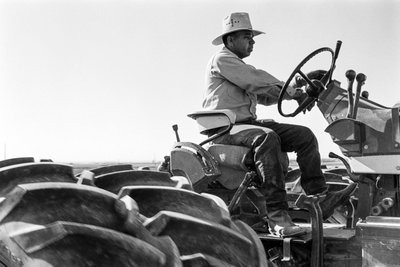 Familienbauer Ed Ker auf der A.M. Ker Ranch ist ein landwirtschaftlicher Siedler, der Alfalfa anbaut von Ted Spiegel