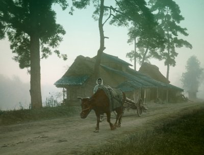 Japanischer Bauer mit Ochsenkarren, um 1900 - 1915 von Teijiro Takagi