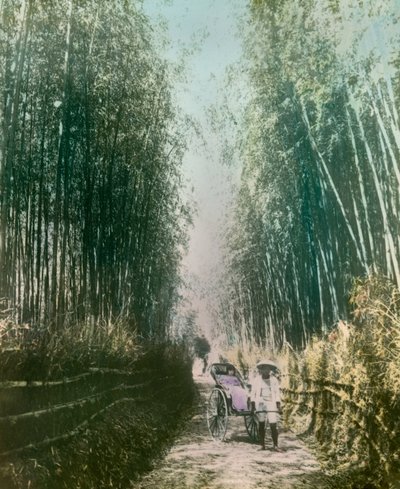 Junge Frau in einem Bambusspross, um 1900 - 1915 von Teijiro Takagi