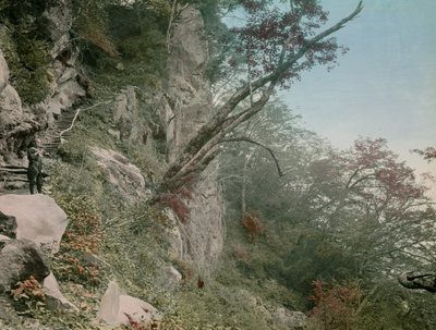 Auf dem Weg zu den Kegon-Wasserfällen in Nikko, um 1900 - 1915 von Teijiro Takagi